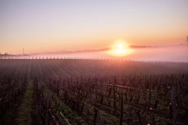 La Pinte Galerie Soleil Brouillard