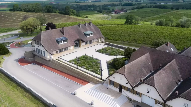 La Pinte Visite Domaine 3