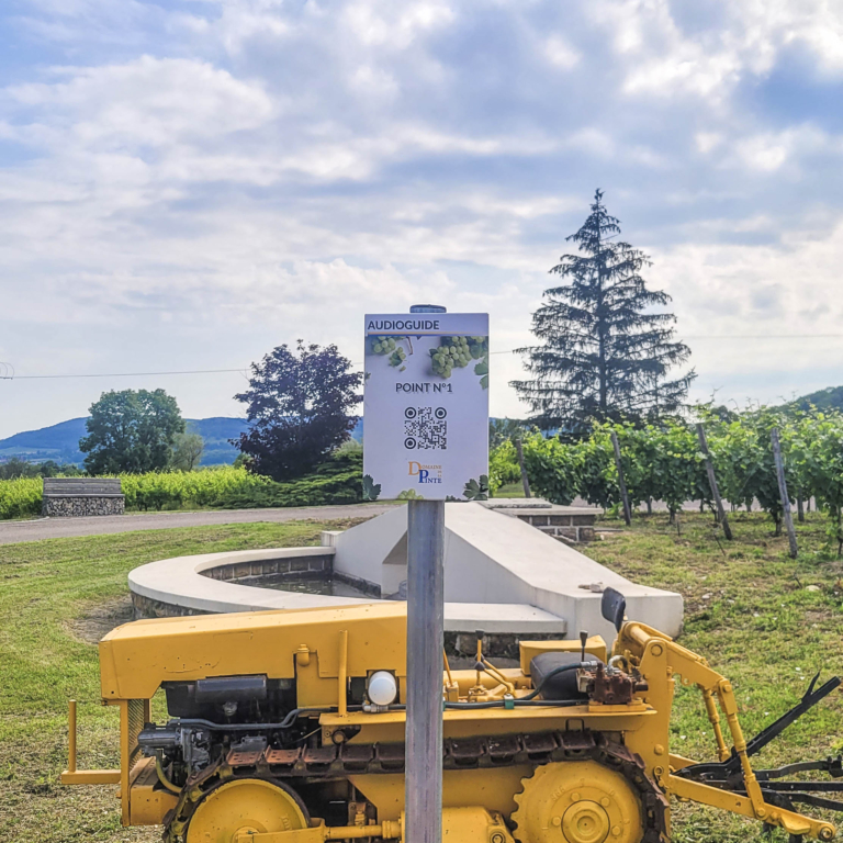 26062024 Audioguide 20240626 095458