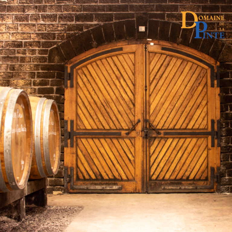 Visite Domaine Et Logo