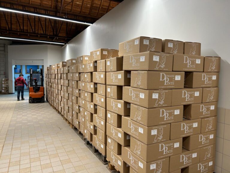 658ed553 8d7c 4318 8054 3fca72ed88ca