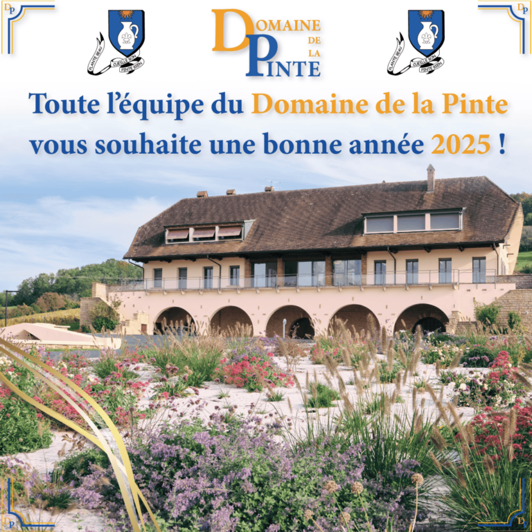 Carte Bonne Année Domaine De La Pinte (3) (1)