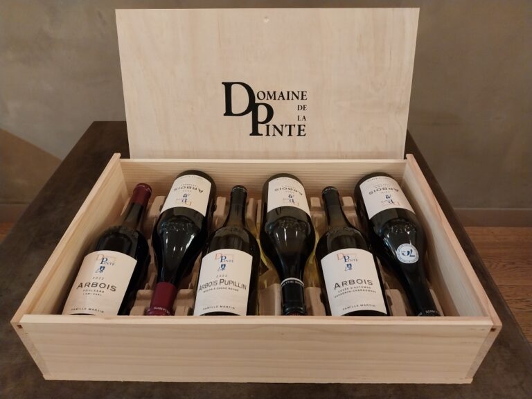 Resized 20241219 102133 1734600469972