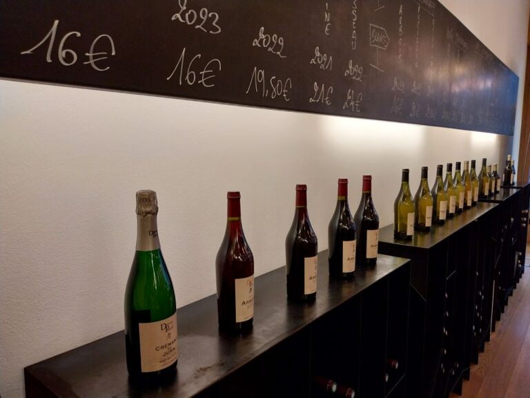 Resized 20241224 102223 1735035336138