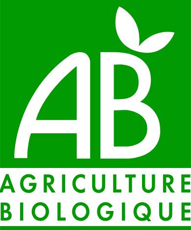 Ab Logo
