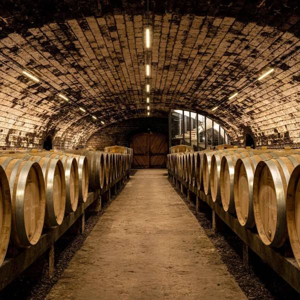 Nos vins rouges