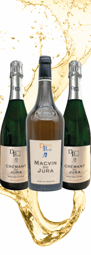 Coffret Festif en 3 bouteilles