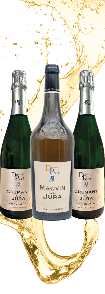 Coffret Festif en 3 bouteilles