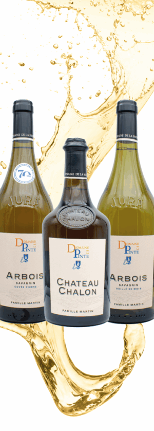 Coffret Gastronomique en 3 bouteilles