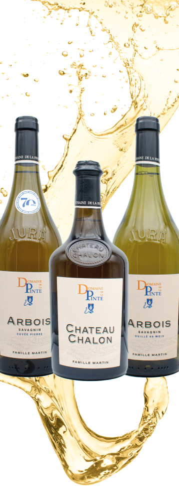 Coffret Gastronomique en 3 bouteilles