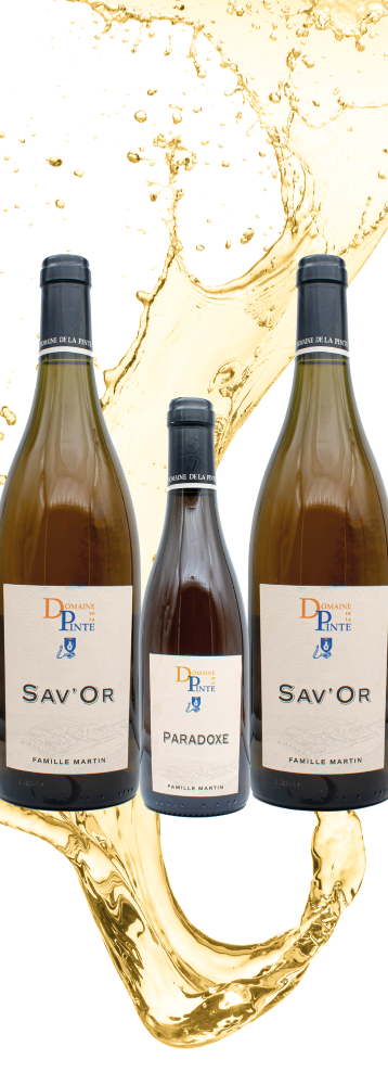 Photo Coffret Nature en 3 bouteilles