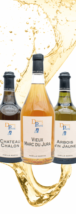 Coffret Prestige 3 bouteilles