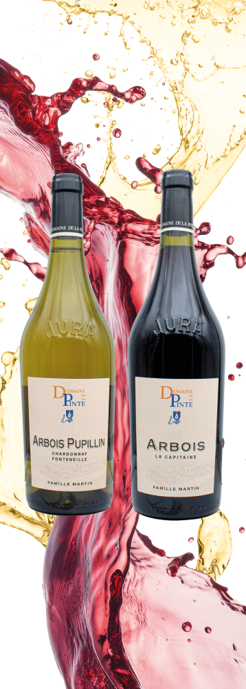 Coffret 2 Bouteilles Capitaine-Fonteneille