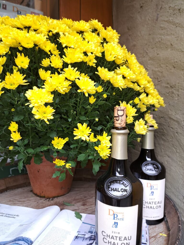 Garde Publication 04 Nov