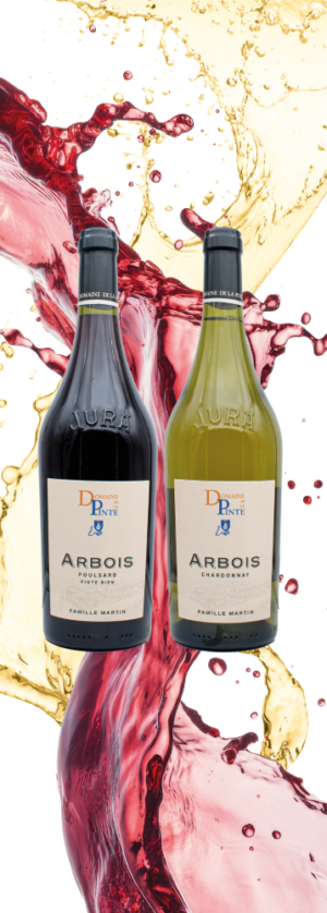 Coffret 2 Bouteilles Poulsard-Chardonnay