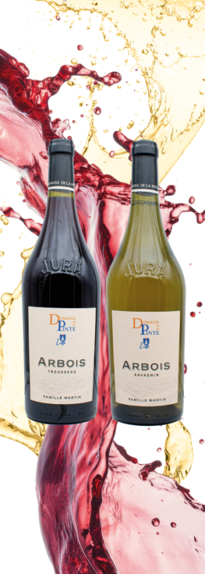 Coffret 2 Bouteilles Trousseau-Savagnin