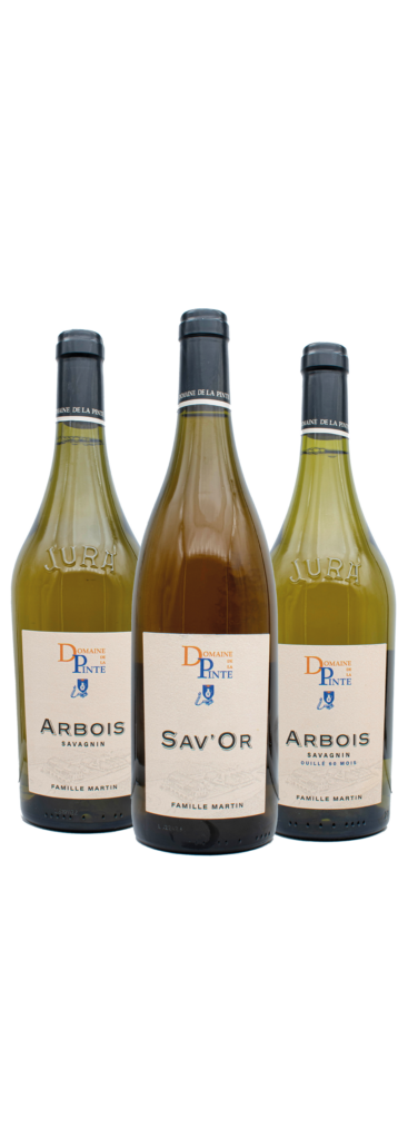 Savagnin 36 + Savagnin 60 + Savor