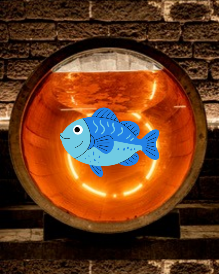 Poisson Tonneauam (45)) (1)