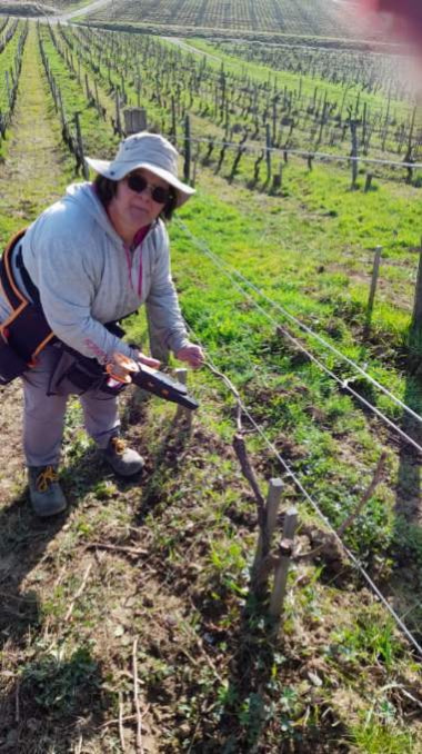 B6ce055b A8d6 49a3 Af9e Fc5b6bd87ca8